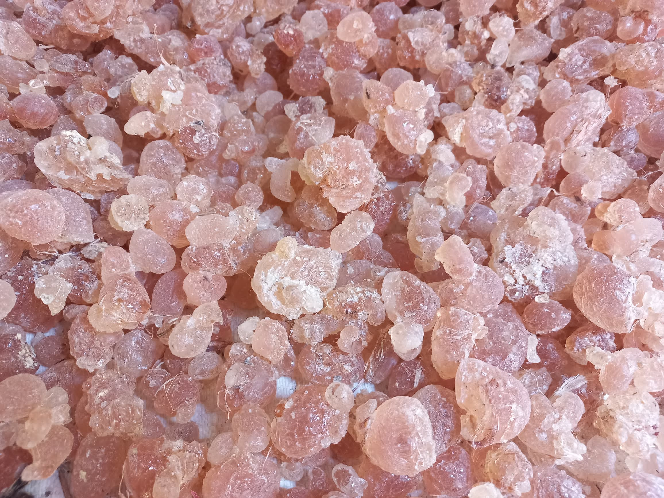 gum-arabic-grade-1-sierra-palm